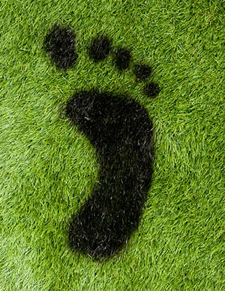 Carbon Footprint