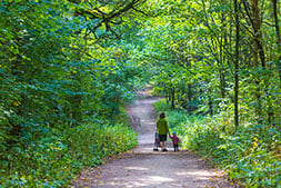 family walking in woods