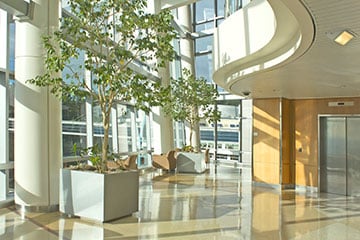 lobby-with-tree.jpg