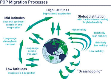 POP Migration Process