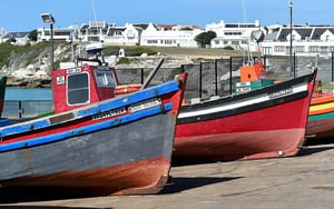 Fishing boats