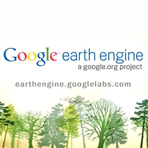 How Google Earth Promotes Environmental Protection in Near Real-Time image