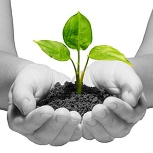 4 Ways to Integrate Sustainability into Your Core Business image