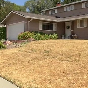 Golden State, goldenlawn? Xeriscaping: A Water Management Practice image