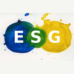 ESG: A Growing Interest for Business Investors image