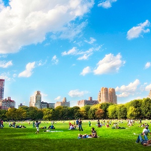 Finding Green Spaces in the Big Apple image