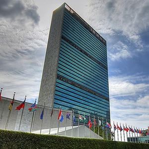 The UN Shines a Spotlight on the Environment and Sustainability image