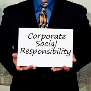 CSR: Sustainability’s Foothold in Business image