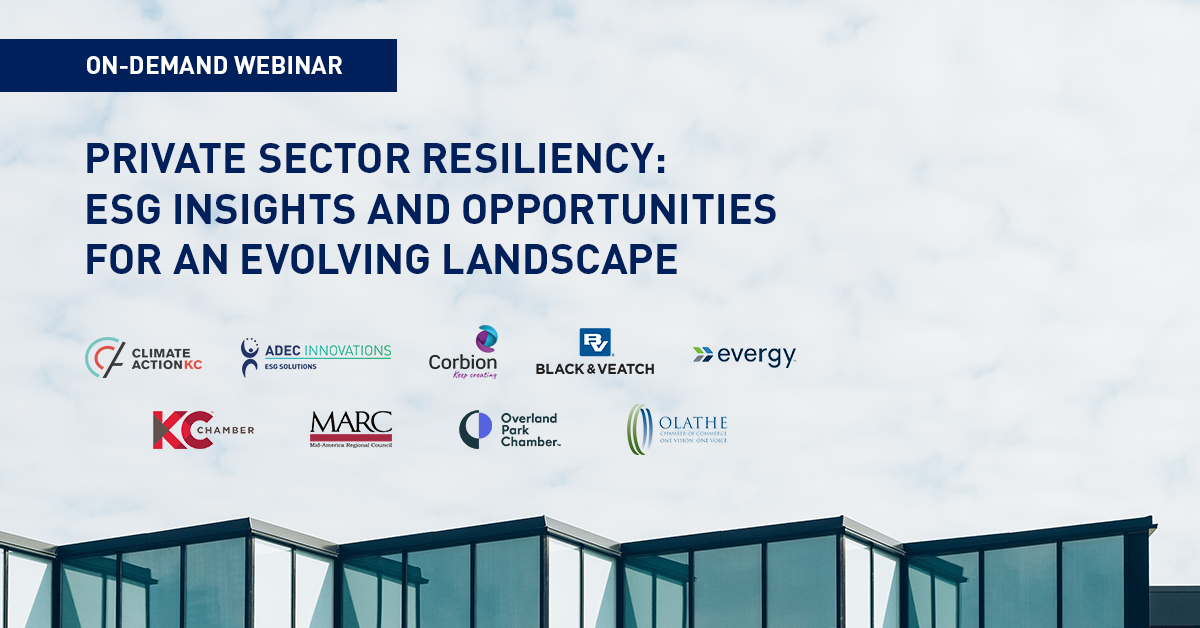 Webinar Recap: Private Sector Resiliency - ESG Insights and Opportunities image