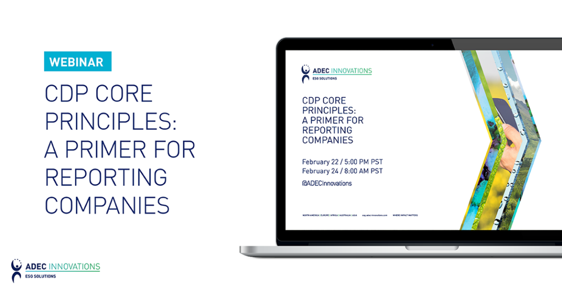 CDP Core Principles: A Primer for Reporting Companies image