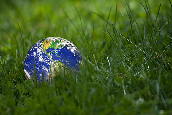 Earth Day,Green image