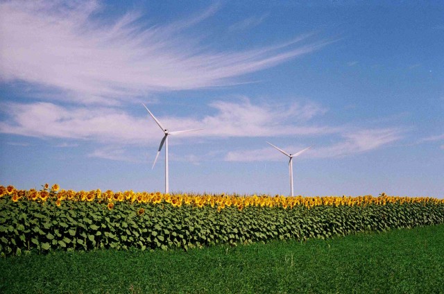 Renewable Energy,sustainable energy image