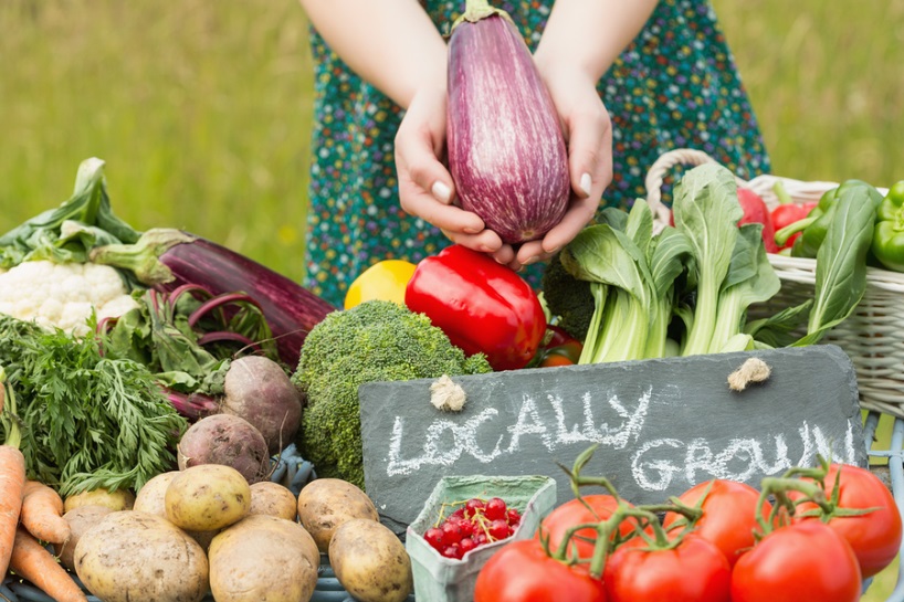 Climate Change and its Effect on the Global Food System image