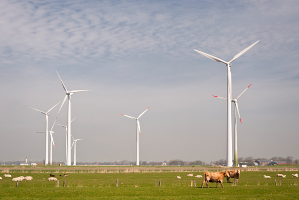 sustainability planning in government - renewable energy wind turbines