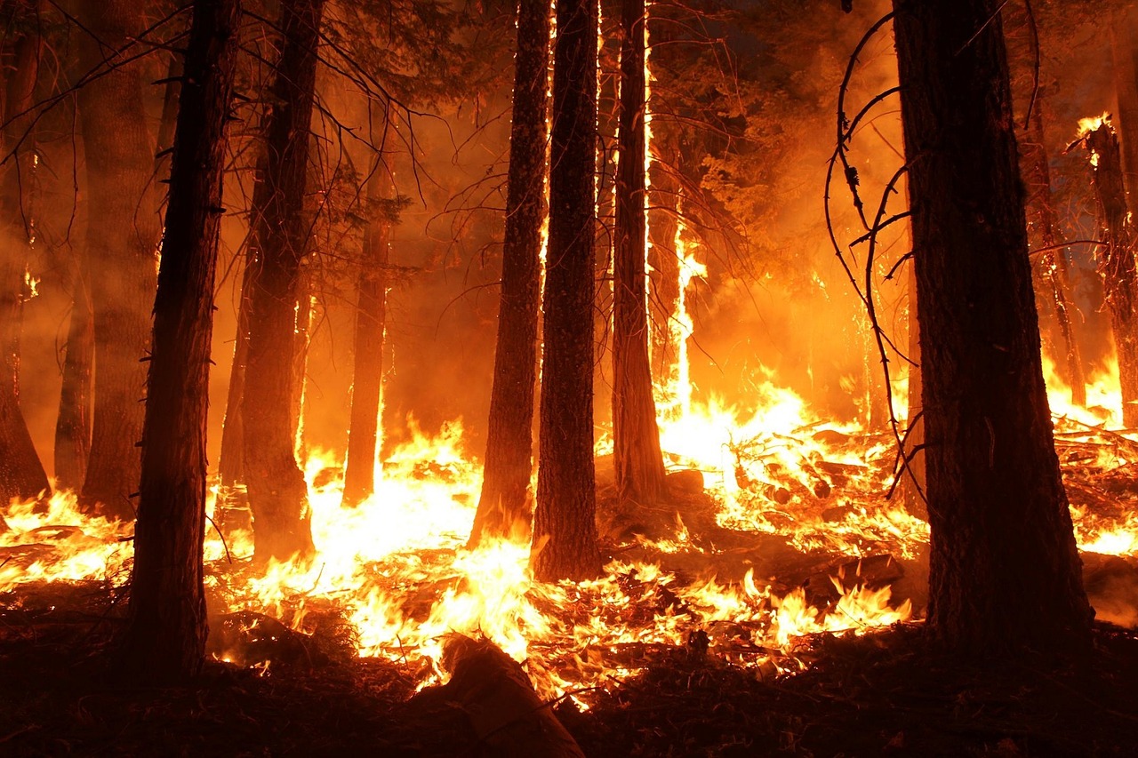 Climate Change,FCS,California,wildfires image